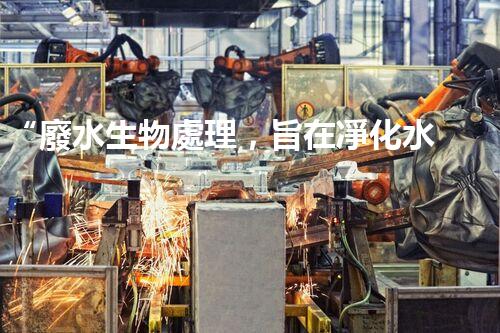 “廢水生物處理，旨在凈化水源，守護(hù)碧水藍(lán)天”